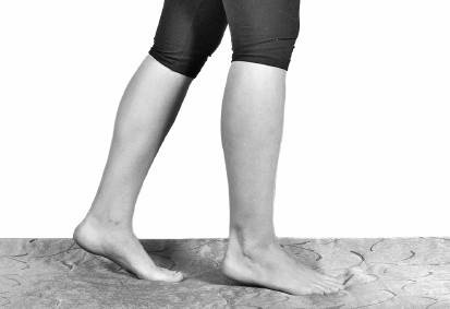 Иллюстрация к книге — Ария для спины. Авторская программа, чтобы никогда не болели суставы [i_007.jpg]