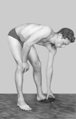 Иллюстрация к книге — Ария для спины. Авторская программа, чтобы никогда не болели суставы [i_014.jpg]