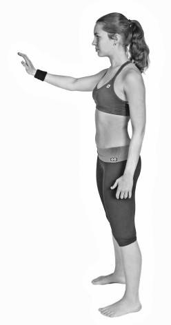 Иллюстрация к книге — Ария для спины. Авторская программа, чтобы никогда не болели суставы [i_030.jpg]