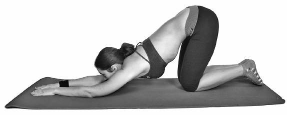 Иллюстрация к книге — Ария для спины. Авторская программа, чтобы никогда не болели суставы [i_057.jpg]