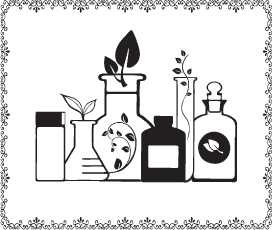 Иллюстрация к книге — Аюрведа. Пособие по женскому здоровью [i_006.jpg]