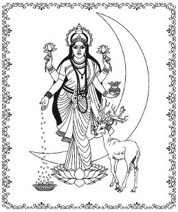 Иллюстрация к книге — Аюрведа. Пособие по женскому здоровью [i_013.jpg]