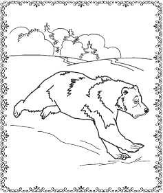 Иллюстрация к книге — Аюрведа. Пособие по женскому здоровью [i_017.jpg]