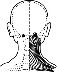 Иллюстрация к книге — Как снять очки за 10 занятий без операции [_058.jpg]