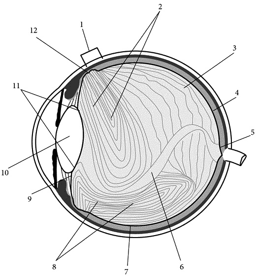 Иллюстрация к книге — Как снять очки за 10 занятий без операции [_071.jpg]