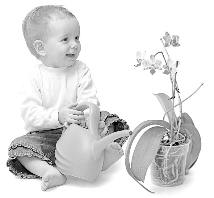 Иллюстрация к книге — Супер Папа. Краткий гид [i_042.jpg]