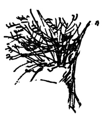 Иллюстрация к книге — Когда здесь была Марни [i_053.jpg]