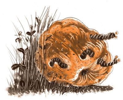 Иллюстрация к книге — Библия в СМСках [i_027.jpg]