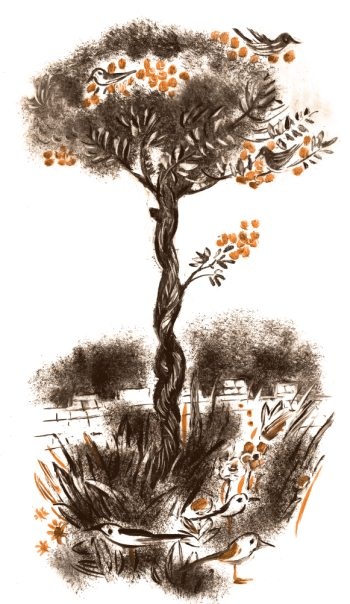 Иллюстрация к книге — Библия в СМСках [i_036.jpg]