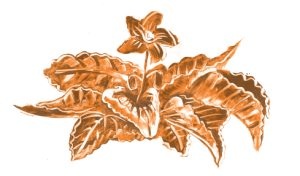 Иллюстрация к книге — Библия в СМСках [i_044.jpg]