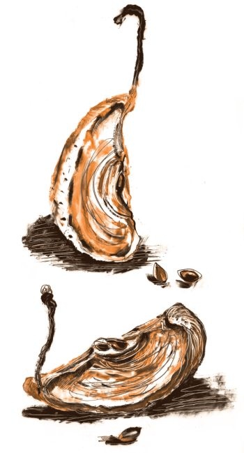 Иллюстрация к книге — Библия в СМСках [i_076.jpg]