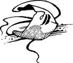 Иллюстрация к книге — Вдовий плат [i_035.jpg]