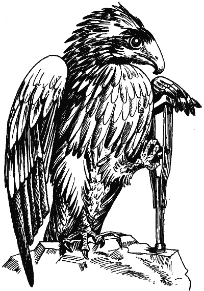 Иллюстрация к книге — Интуиция дурака, или Как достать халявный миллион решений [i_033.jpg]