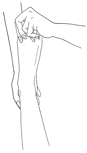 Иллюстрация к книге — Как с помощью ласки уложить мужчину на лопатки [i_001.jpg]