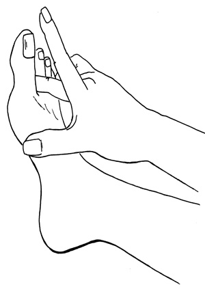 Иллюстрация к книге — Как с помощью ласки уложить мужчину на лопатки [i_002.jpg]