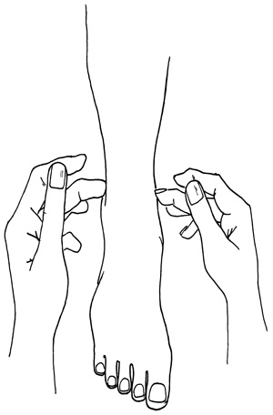 Иллюстрация к книге — Как с помощью ласки уложить мужчину на лопатки [i_005.jpg]