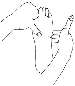 Иллюстрация к книге — Как с помощью ласки уложить мужчину на лопатки [i_009.jpg]