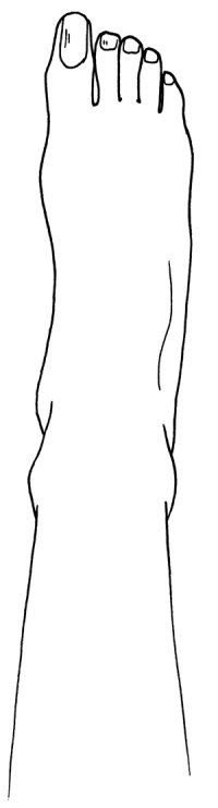 Иллюстрация к книге — Как с помощью ласки уложить мужчину на лопатки [i_010.jpg]