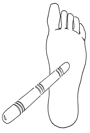 Иллюстрация к книге — Как с помощью ласки уложить мужчину на лопатки [i_012.jpg]