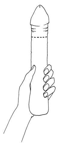 Иллюстрация к книге — Как с помощью ласки уложить мужчину на лопатки [i_015.jpg]