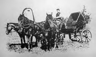 Иллюстрация к книге — Жизнь русского обывателя. На шумных улицах градских [pic_83.jpg]