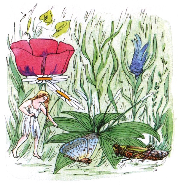 Иллюстрация к книге — Девочка с голубыми глазками. Марочкин сон [i_008.jpg]