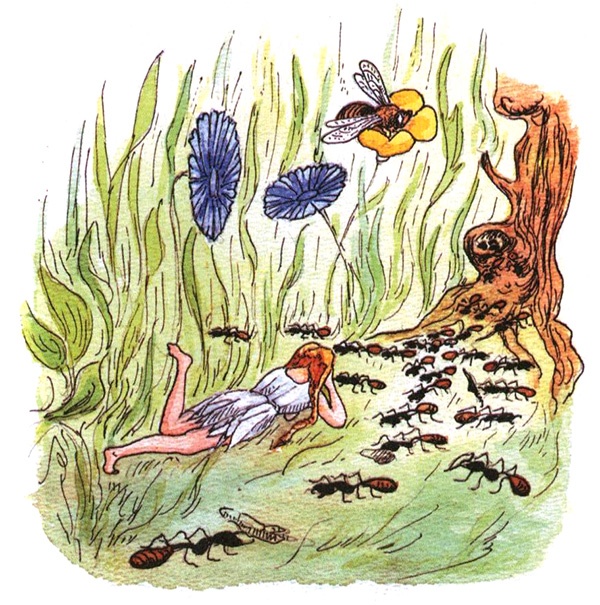 Иллюстрация к книге — Девочка с голубыми глазками. Марочкин сон [i_013.jpg]