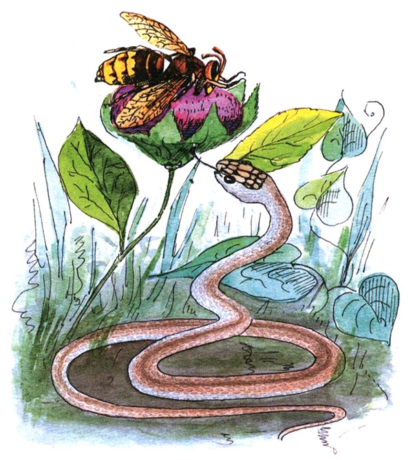 Иллюстрация к книге — Девочка с голубыми глазками. Марочкин сон [i_017.jpg]