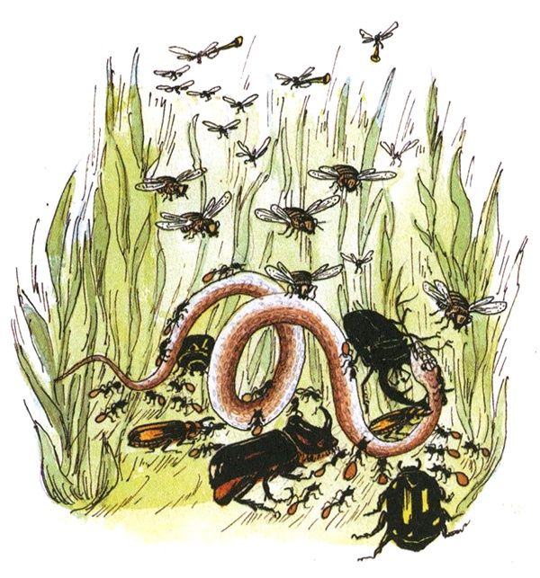 Иллюстрация к книге — Девочка с голубыми глазками. Марочкин сон [i_023.jpg]