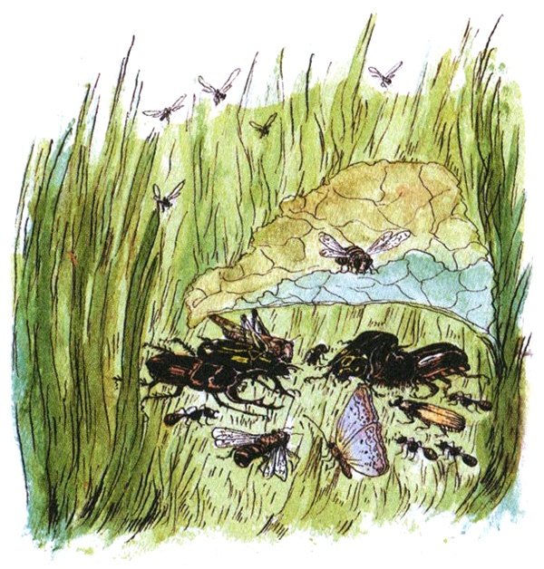 Иллюстрация к книге — Девочка с голубыми глазками. Марочкин сон [i_024.jpg]