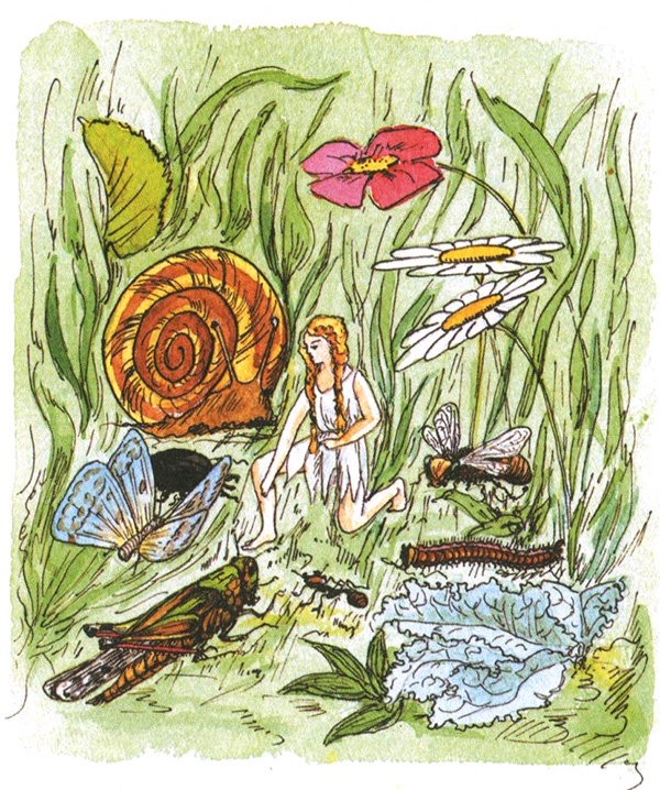 Иллюстрация к книге — Девочка с голубыми глазками. Марочкин сон [i_026.jpg]