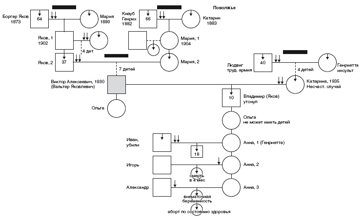 Иллюстрация к книге — Власть рода. Родовые программы и жизненные сценарии [i_015.jpg]