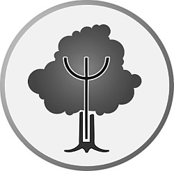 Иллюстрация к книге — Власть рода. Родовые программы и жизненные сценарии [i_056.jpg]