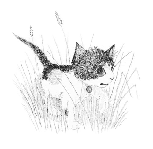 Иллюстрация к книге — Котёнок Пуговка, или Храбрость в награду [tfkitten_111.jpg]