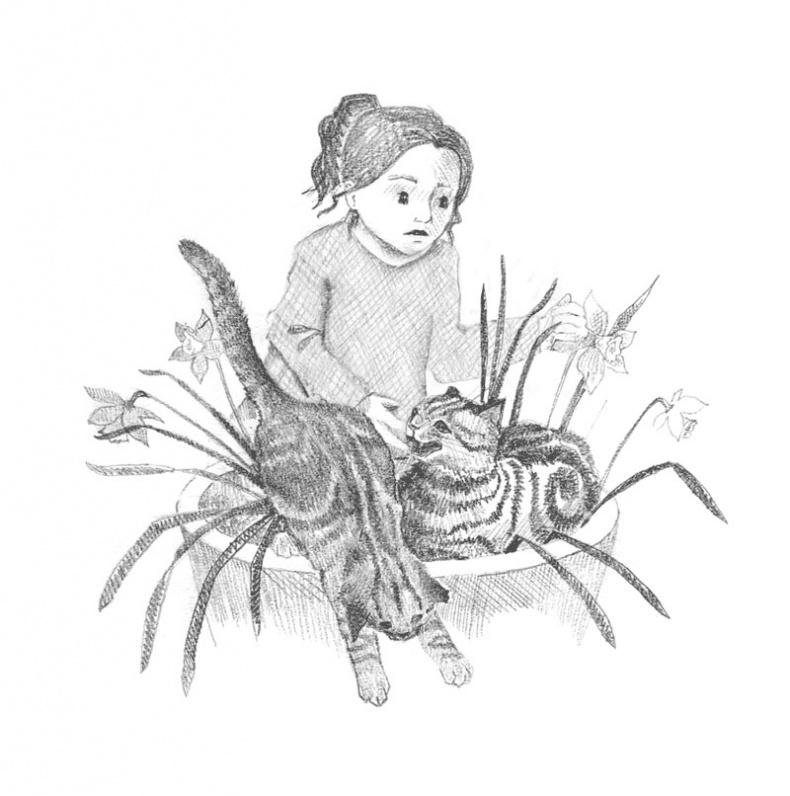 Иллюстрация к книге — Котёнок Пуговка, или Храбрость в награду [tfkitten_14.jpg]