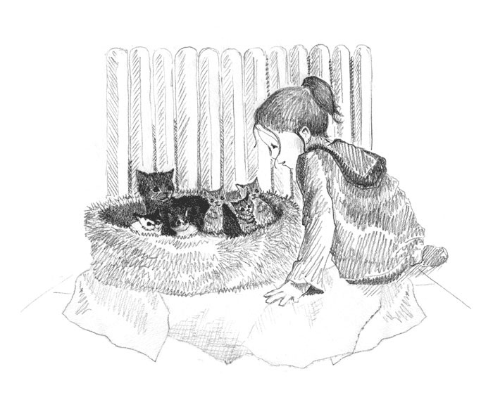 Иллюстрация к книге — Котёнок Пуговка, или Храбрость в награду [tfkitten_24.jpg]