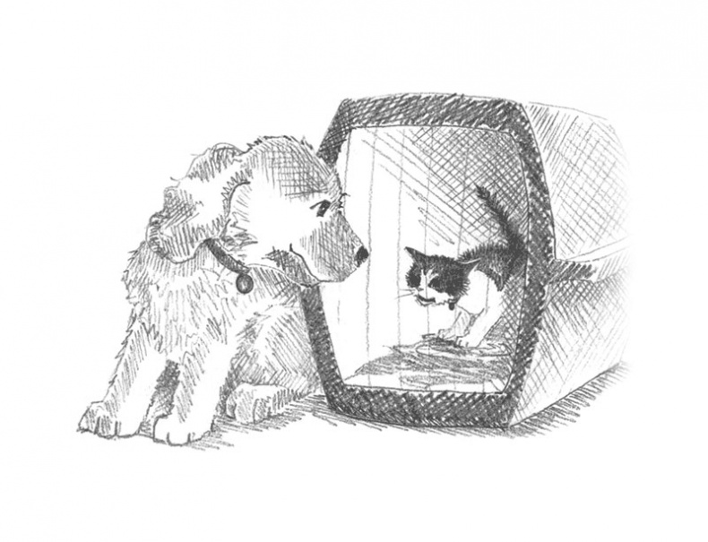 Иллюстрация к книге — Котёнок Пуговка, или Храбрость в награду [tfkitten_35.jpg]