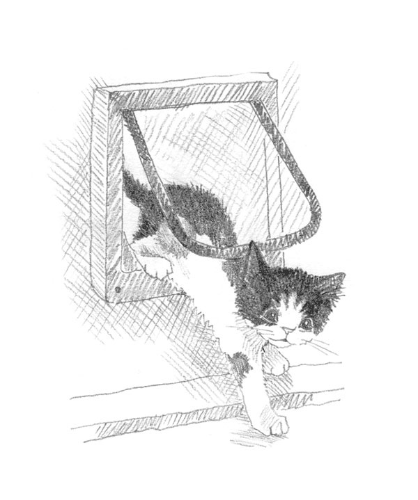 Иллюстрация к книге — Котёнок Пуговка, или Храбрость в награду [tfkitten_52.jpg]