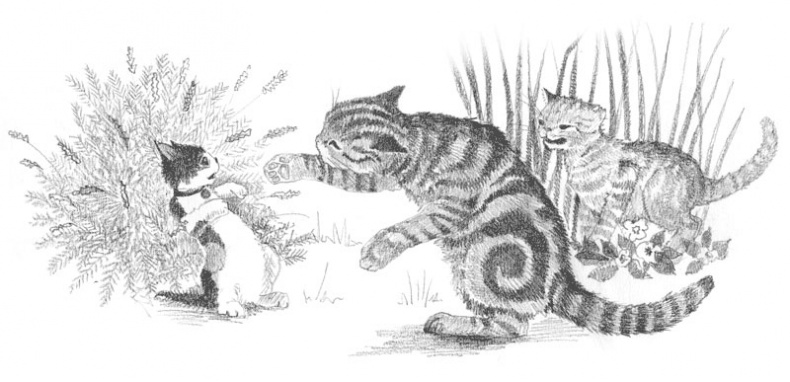 Иллюстрация к книге — Котёнок Пуговка, или Храбрость в награду [tfkitten_56.jpg]