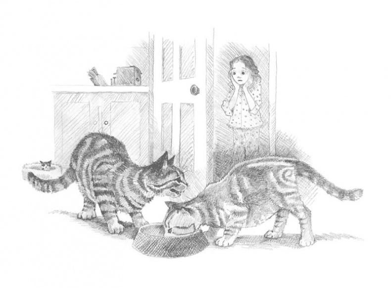 Иллюстрация к книге — Котёнок Пуговка, или Храбрость в награду [tfkitten_68.jpg]