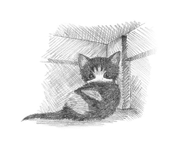 Иллюстрация к книге — Котёнок Пуговка, или Храбрость в награду [tfkitten_81.jpg]