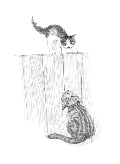 Иллюстрация к книге — Котёнок Пуговка, или Храбрость в награду [tfkitten_92.jpg]