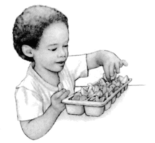 Иллюстрация к книге — Воспитание ребенка от рождения до 10 лет [_46.jpg]