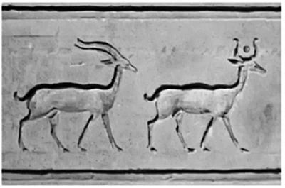 Иллюстрация к книге — Костяной лабиринт [_214_3.jpg]