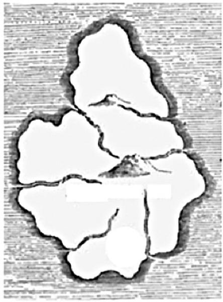 Иллюстрация к книге — Костяной лабиринт [_302_3.jpg]