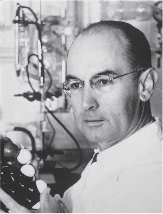 Иллюстрация к книге — Исцеление наших самых глубоких ран. Холотропный сдвиг парадигмы [i_014.jpg]