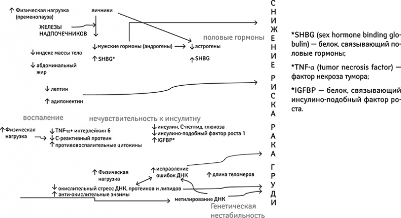 Иллюстрация к книге — Бойкот раку. Защитите себя и своих близких! Советы врача-онколога из Великобритании [_169.jpg]