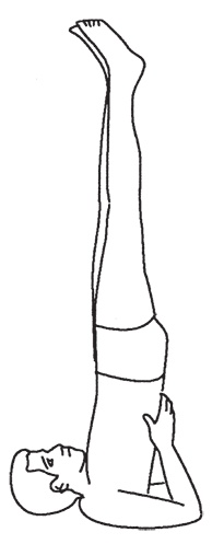 Иллюстрация к книге — Закон притяжения. Как получить всё, чего вы хотите [i_002.jpg]