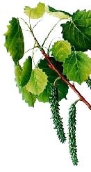 Иллюстрация к книге — Сказочная энциклопедия для маленьких вундеркиндов. Чудеса в природе [i_003.jpg]