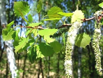 Иллюстрация к книге — Сказочная энциклопедия для маленьких вундеркиндов. Чудеса в природе [i_019.jpg]